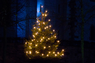 Weihnachtsbaum 2015